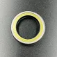 26-70081 — 1