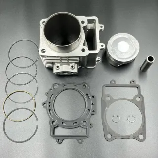 Комплект ЦПГ ATV X6, Z6 (ZIBO) картинка