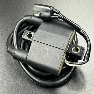 Катушка зажигания высоковольтная Polaris(4060229) (KINETIX) картинка