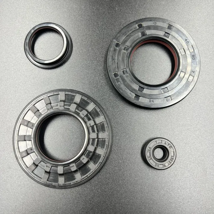 09-55204 — 1