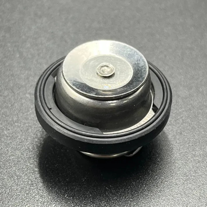 17660-99E01 — 2