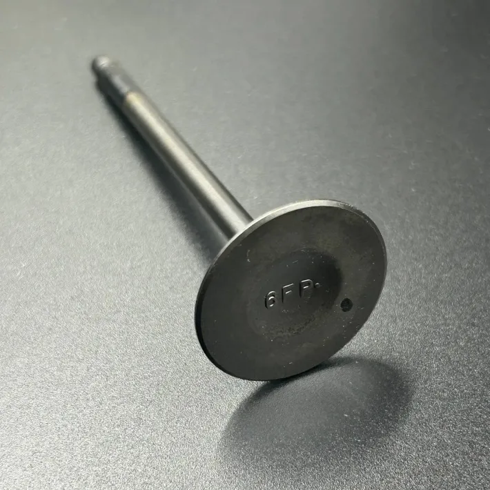 6FP-12111-00 — 2