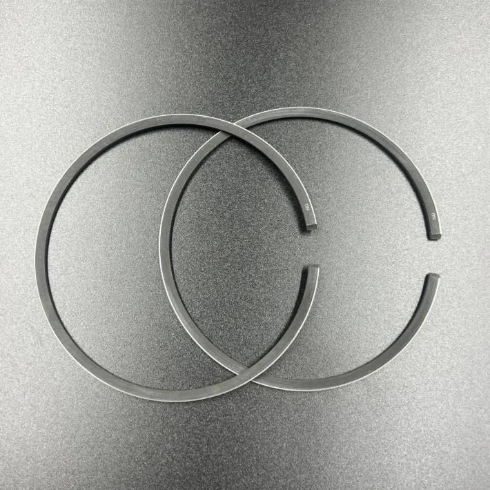 39-827179A12-STD-RIKEN — 1