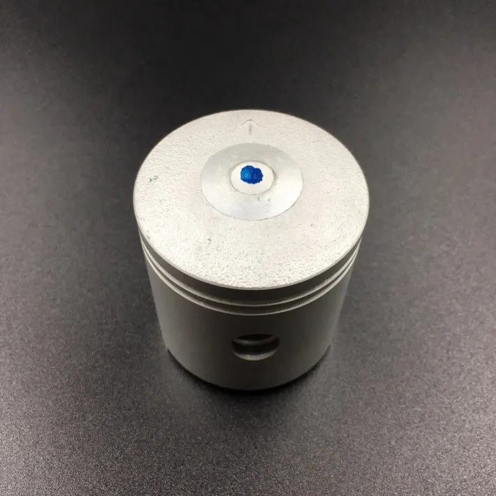 309-00001-0 — 2