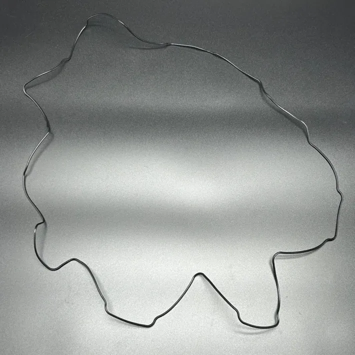 818574 — 1