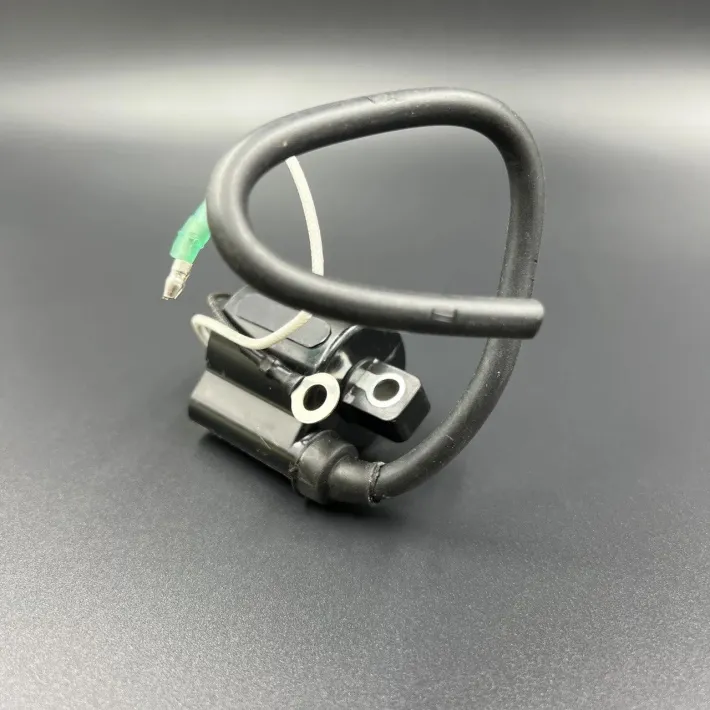 66T-85570-00 — 1