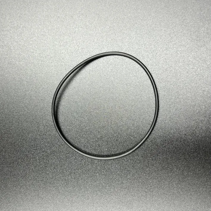 293300022 — 1