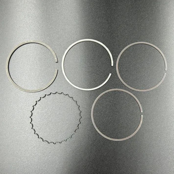 66N-11603-00 — 1
