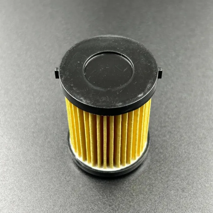 6P3-WS24A-01-00 — 3