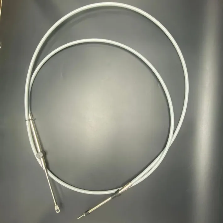 8M0085937 — 1