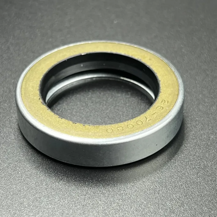 26-70081 — 3