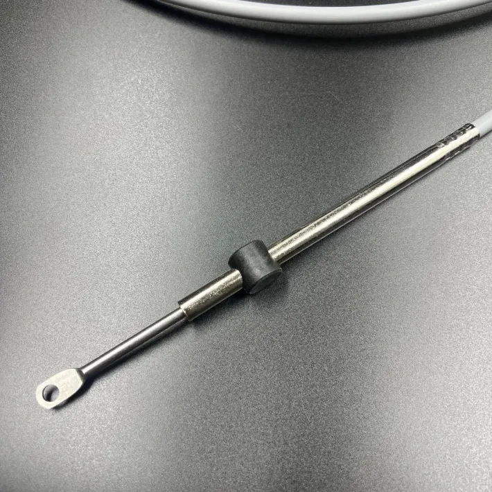 8M0082484 — 3