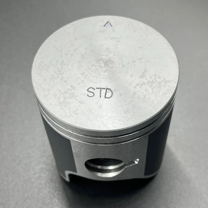 09-729P — 2