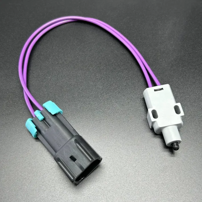 808009T11 — 1