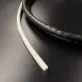 509009 — 2