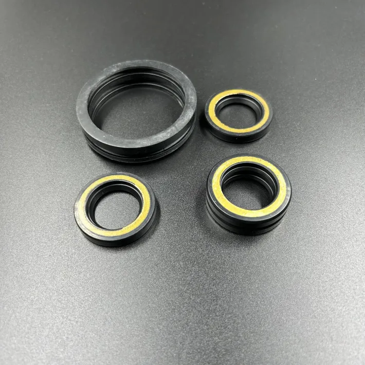 698-W0001-21 — 3
