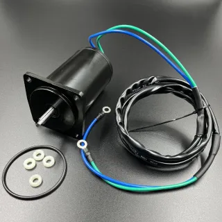 Мотор гидроподъемника Yamaha F75-100 (99-03 г.в.) (WUHU) картинка