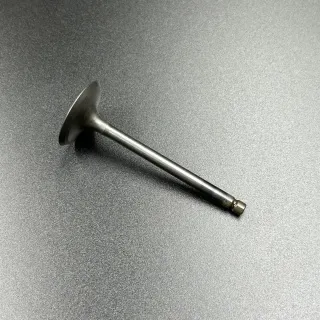Клапан впускной Suzuki DF25-30A (Suzuki) картинка