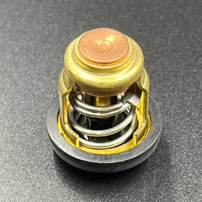 6E5-12411-20 — 3