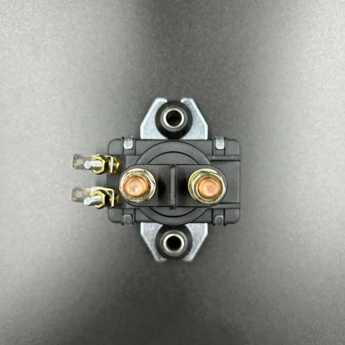 89-818997A1 — 3