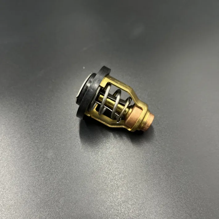 60V-12411-00 — 4