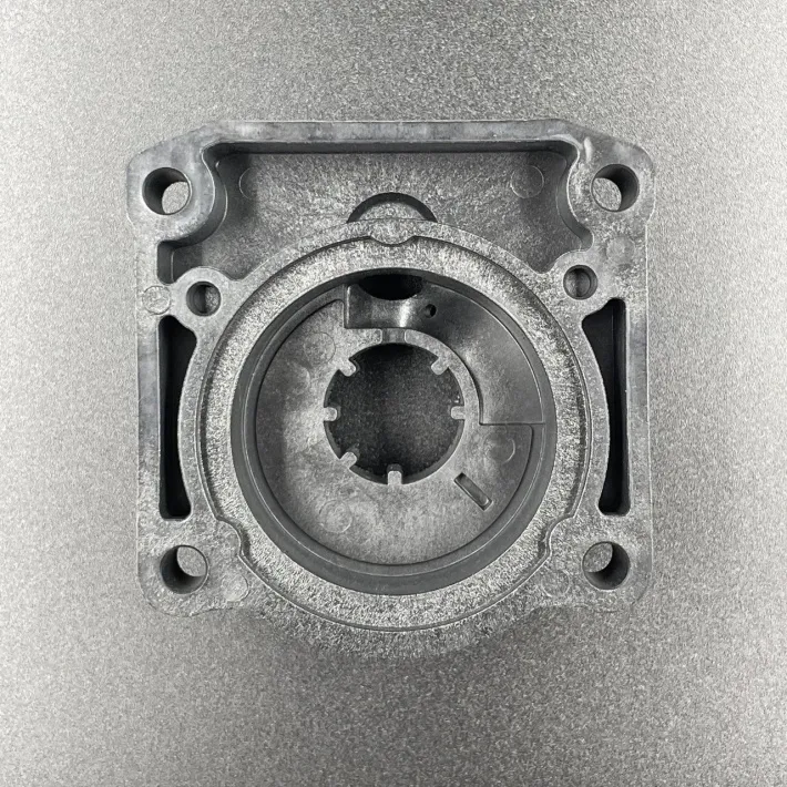 61N-44311-01 — 3