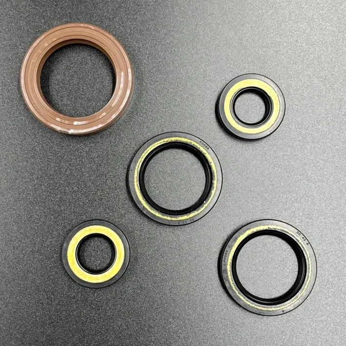 66T-W0001-01 — 3
