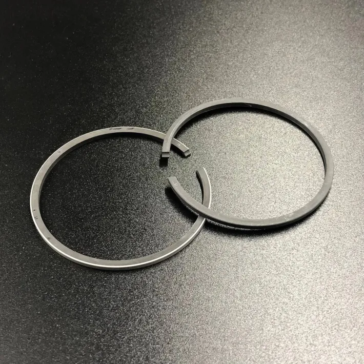682-11610-01-RIKEN — 1