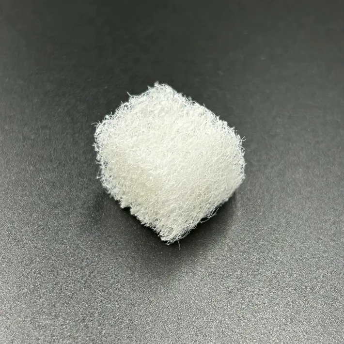863829 — 1