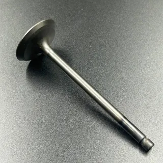 Клапан впускной F75-100 (Yamaha) картинка