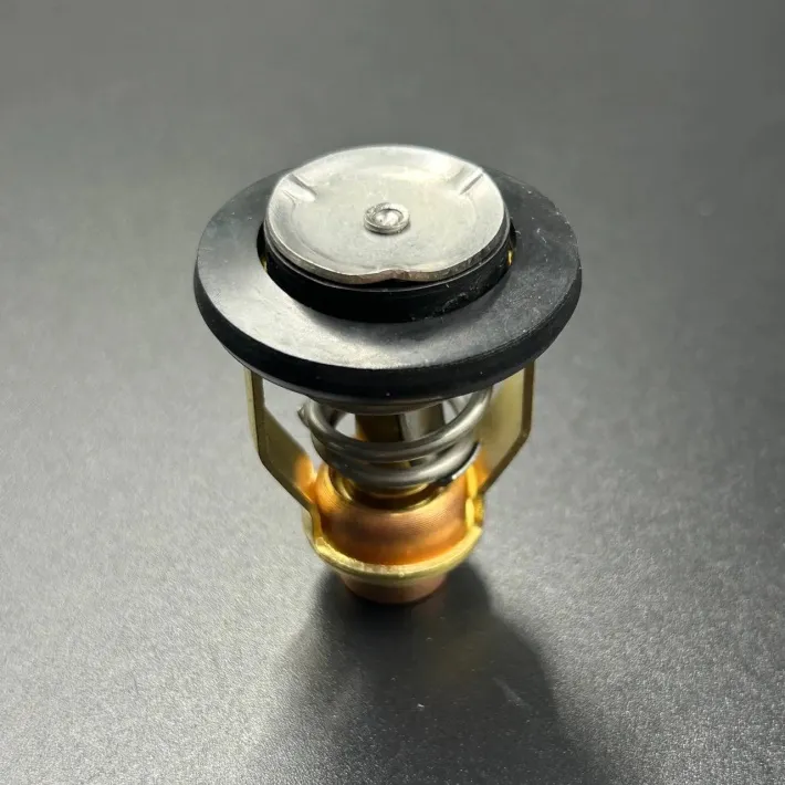 67F-12411-01 — 3