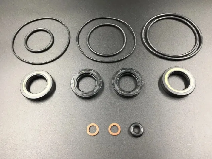 66T-W0001-20 — 3