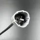 8ES-85885-01 — 2