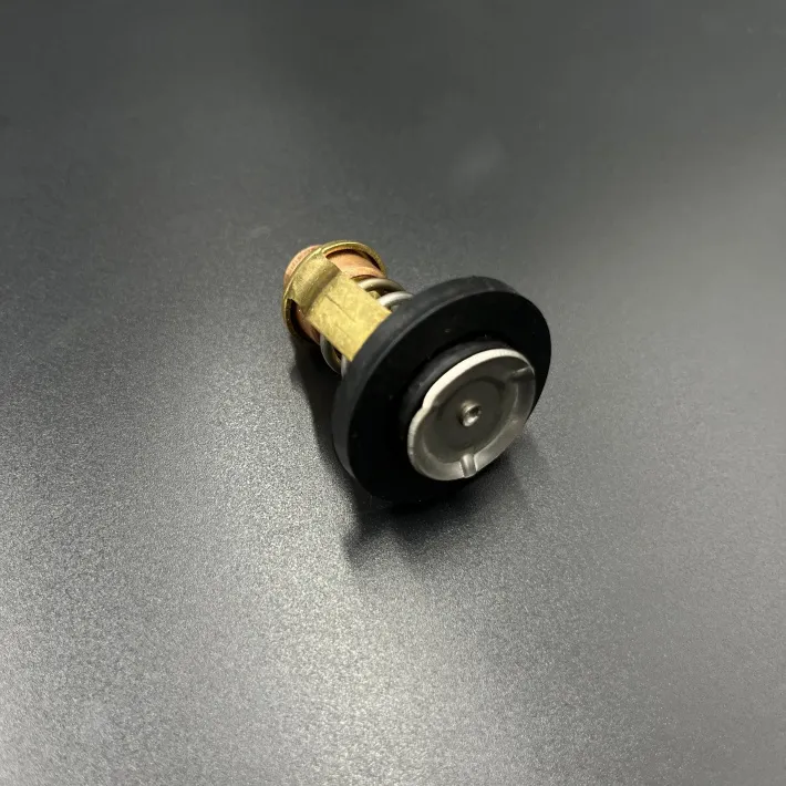 60V-12411-00 — 2