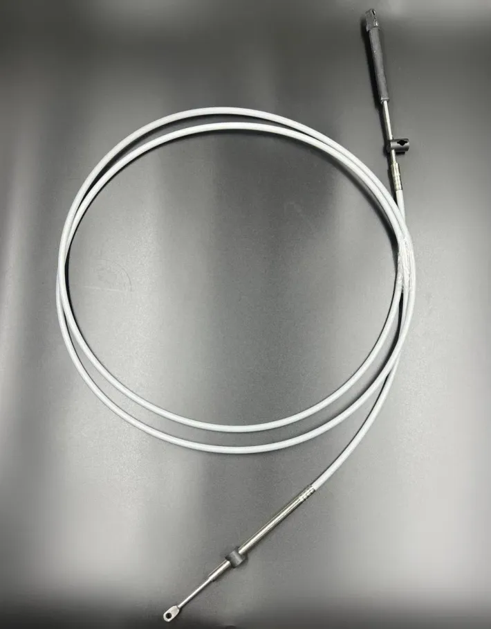 8M0082484 — 1