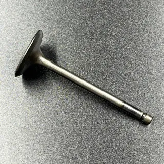 Клапан впускной Yamaha F20-60 FT25-60 (Yamaha) картинка