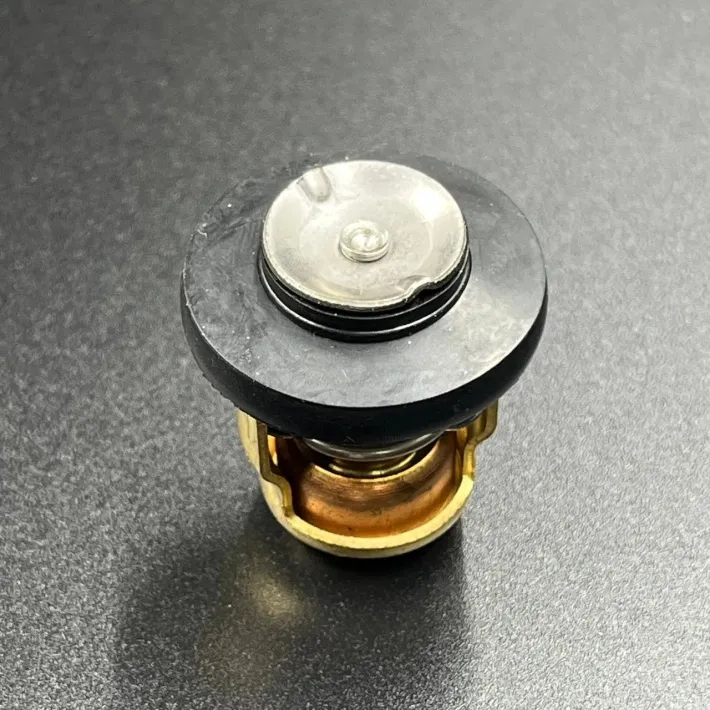 66M-12411-01 — 7