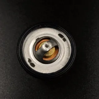 Термостат Suzuki 50° (17670-91J01) (Suzuki) картинка