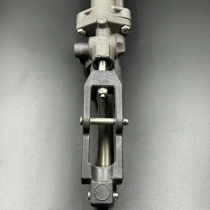 866200A01 — 2