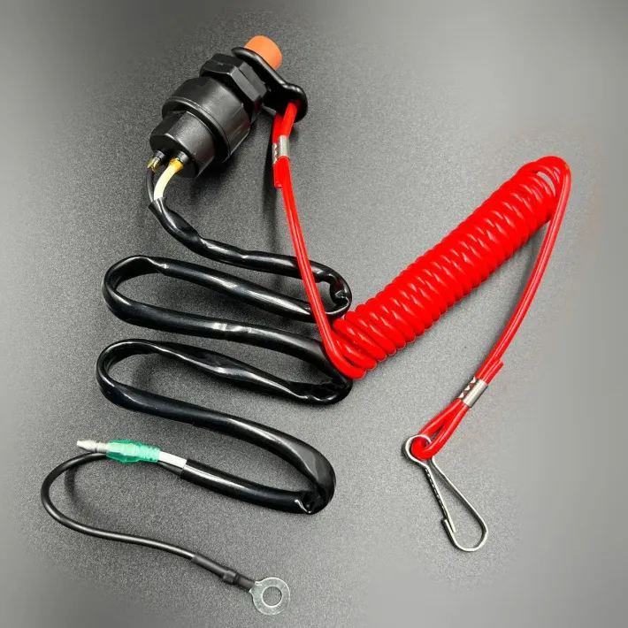 65W-82575-01-00 — 1