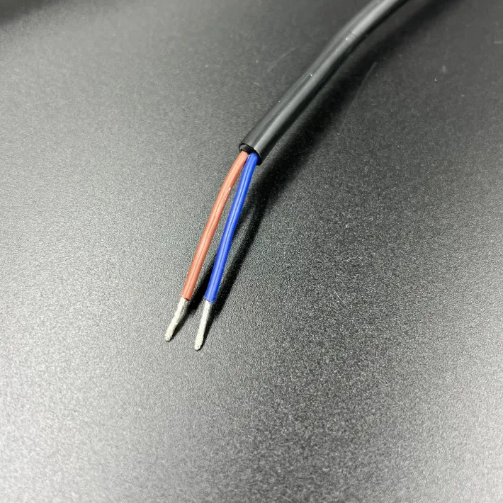 DP0190FM-60 — 2