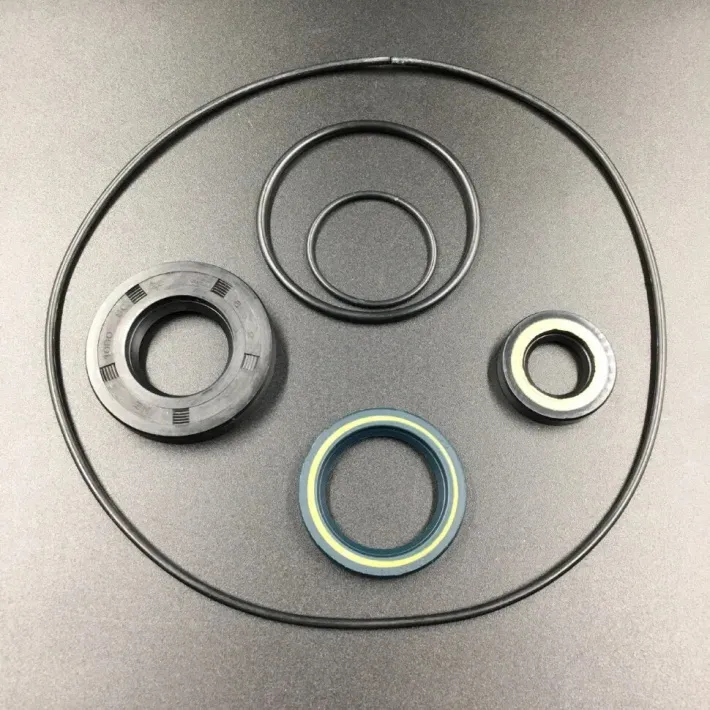 689-W0001-00 — 4