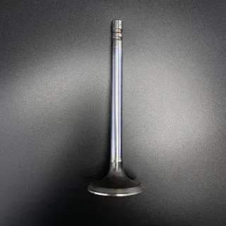 Клапан VALVE (Quicksilver) картинка
