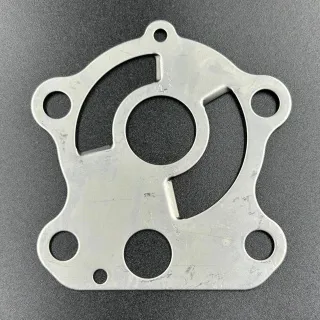 Пластина помпы охлаждения Yamaha 75-90 (Yamaha) (RAC) картинка