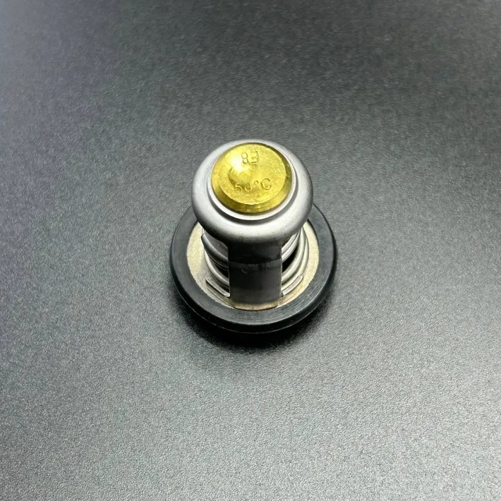 8M0119207 — 3