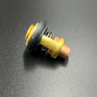 Термостат Yamaha 3-250 60С* (PREMARINE) картинка