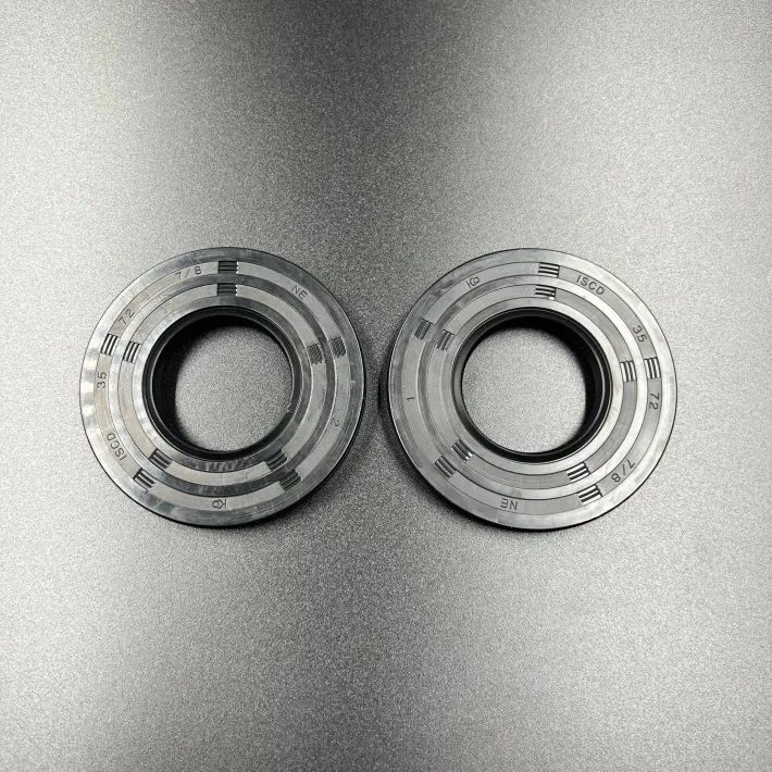 09-55216 — 1