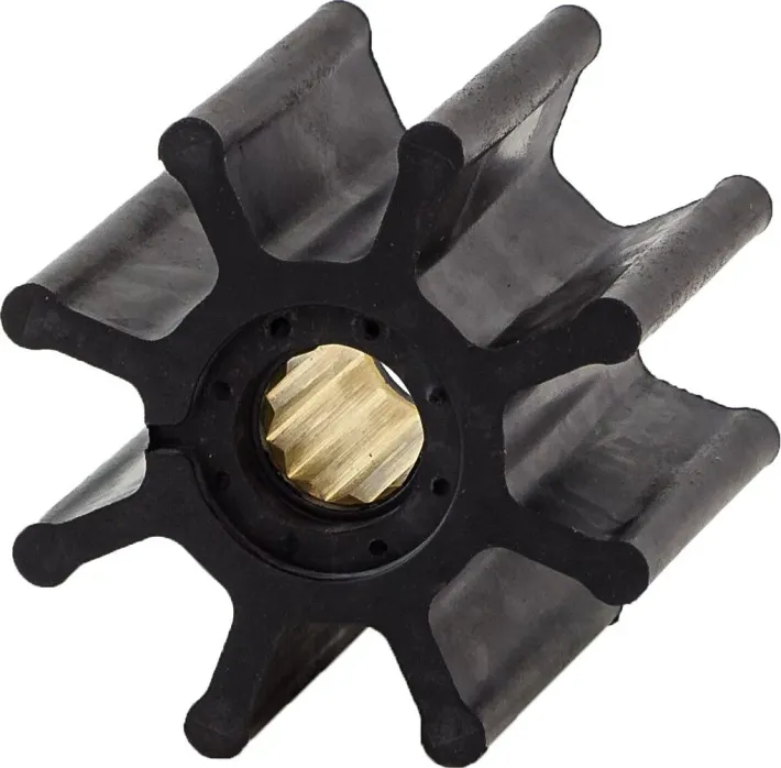 21951356 — 1