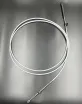8M0082484 — 1