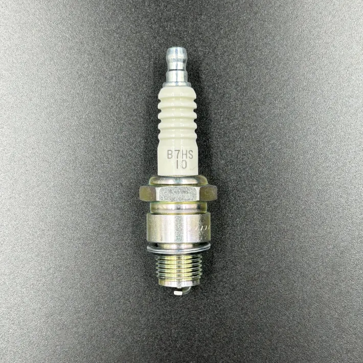 B7HS-10 — 2